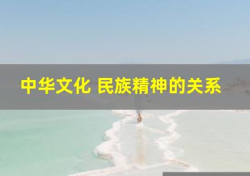 中华文化 民族精神的关系